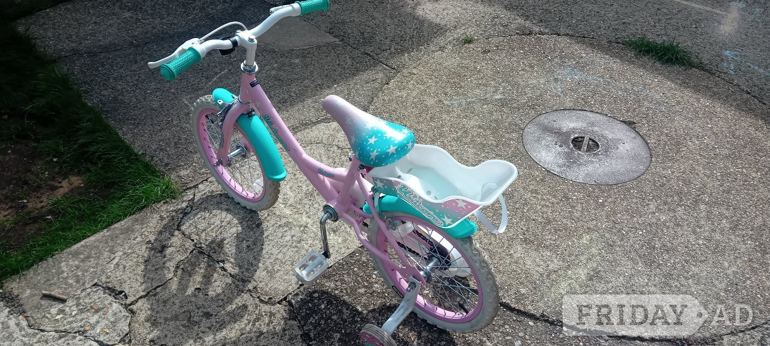 Child's bike with doll seat.  in Bourne