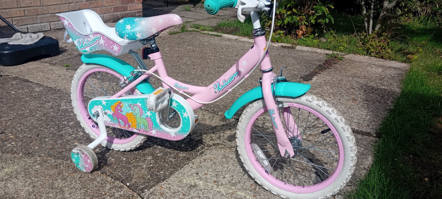 Bourne Child's bike with doll seat. 