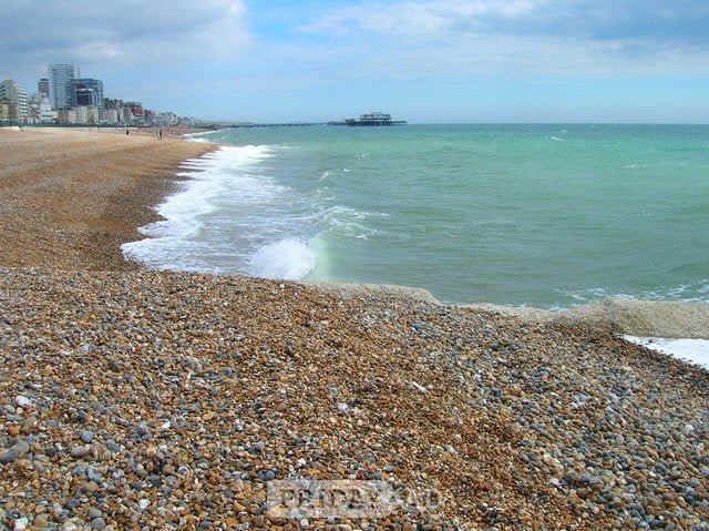 live in companion  in Hove