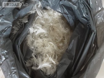 Feathers for stuffing cushions etc 