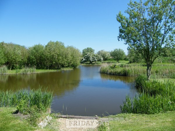 Fishing Holidays in the heart of the fens
