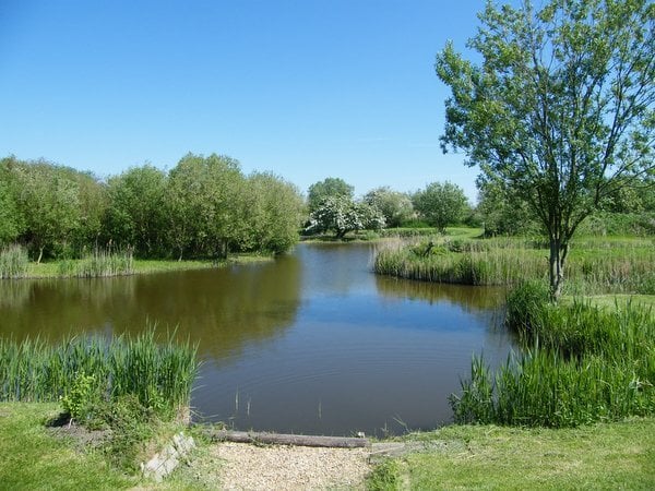 Fishing Holidays in the heart of the fens