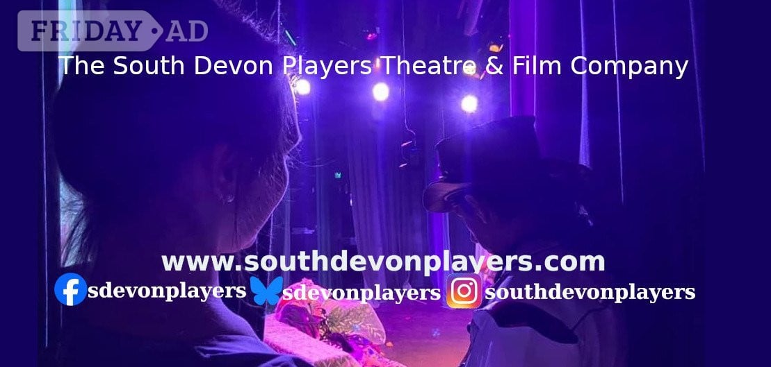 Talk + Q&A : Making theatre accessible for neurodivergent people  in Brixham