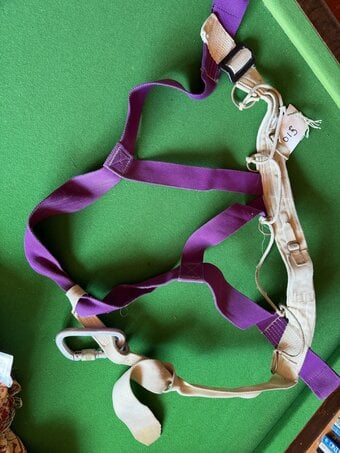 Rock climbing harness.