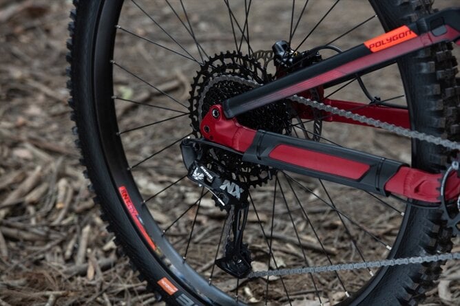 Polygon SISKIU N8 - Bicycles