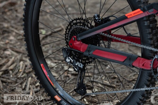 Polygon SISKIU N8 - Bicycles