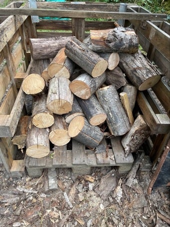 LOGS FOR SALE 