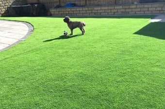 20mm Artificial Grass – Realistic, Pet-Friendly & Low Maintenance