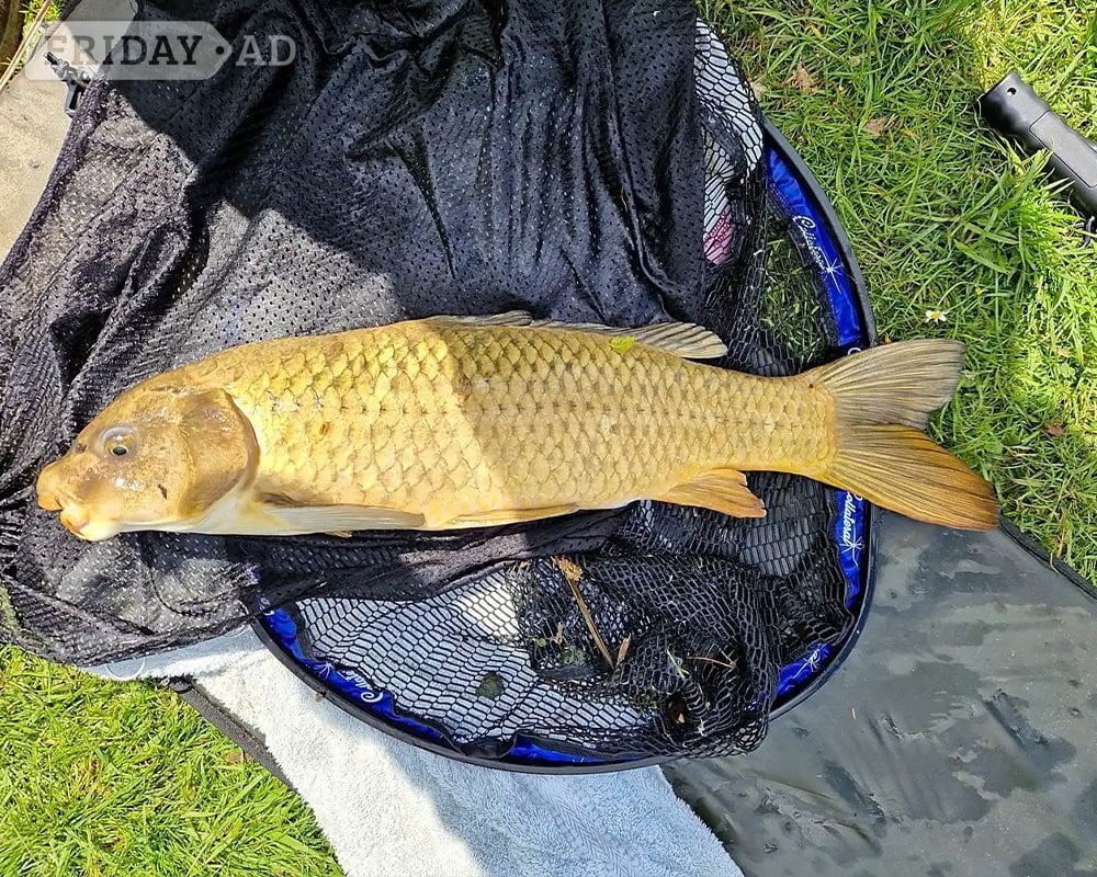 King's Lynn Fishing, Caravanning & Tackle Shop in Norfolk