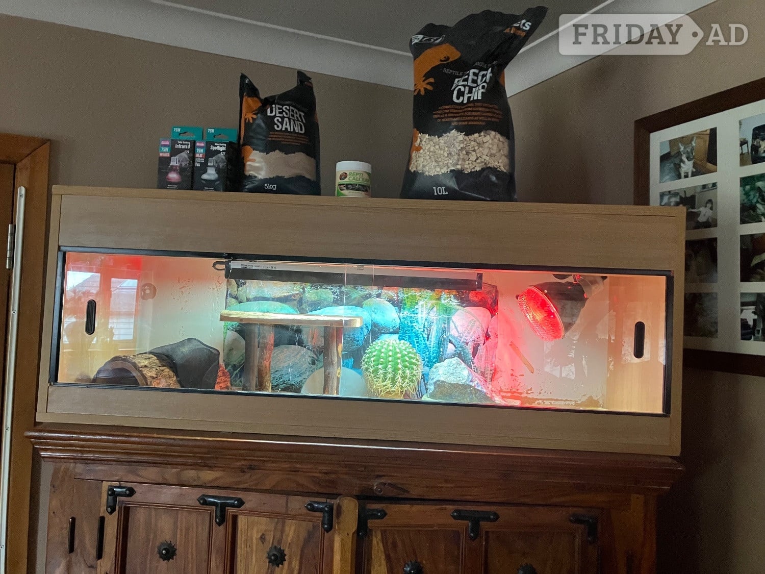 Reptile enclosure with basking, bedding accessories  in Epsom