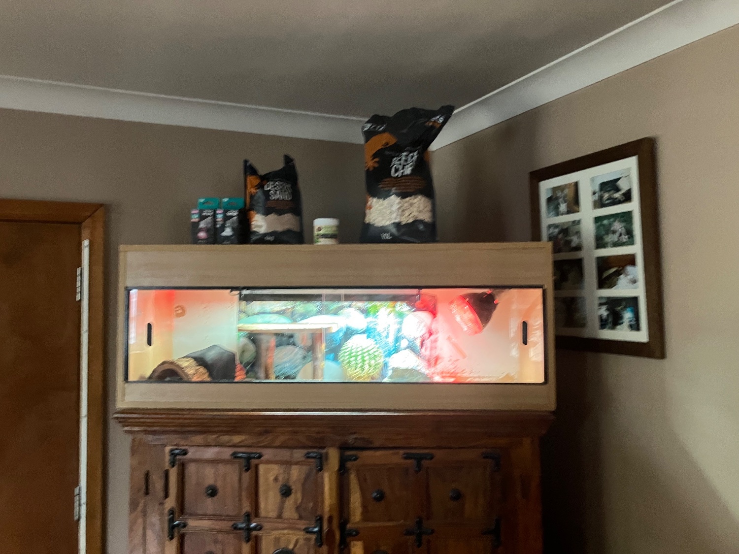 Reptile enclosure with basking, bedding accessories 
