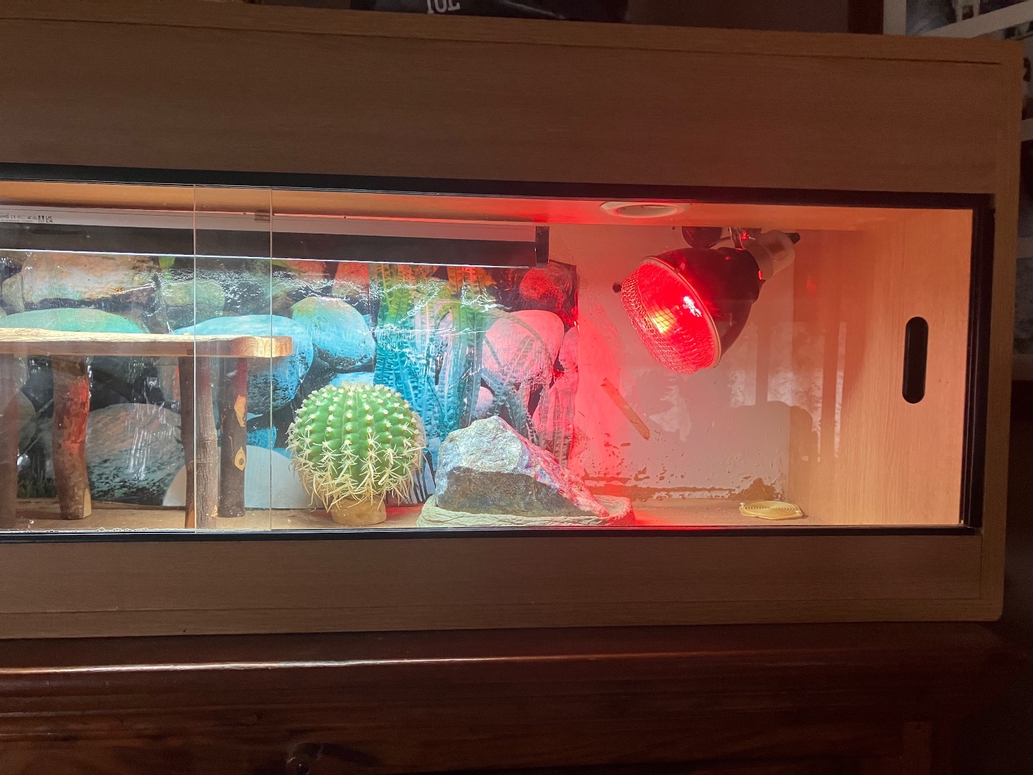 Epsom Reptile enclosure with basking, bedding accessories 