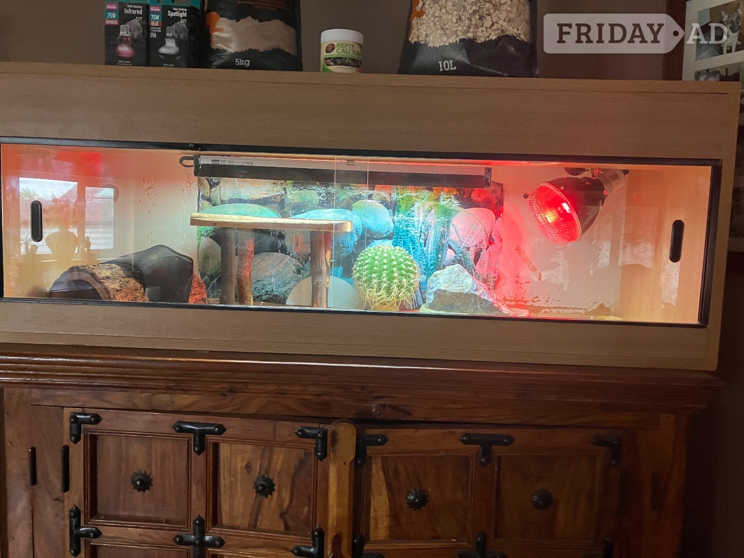 Reptile enclosure with basking, bedding accessories  - Bizarre Bazaar in Epsom