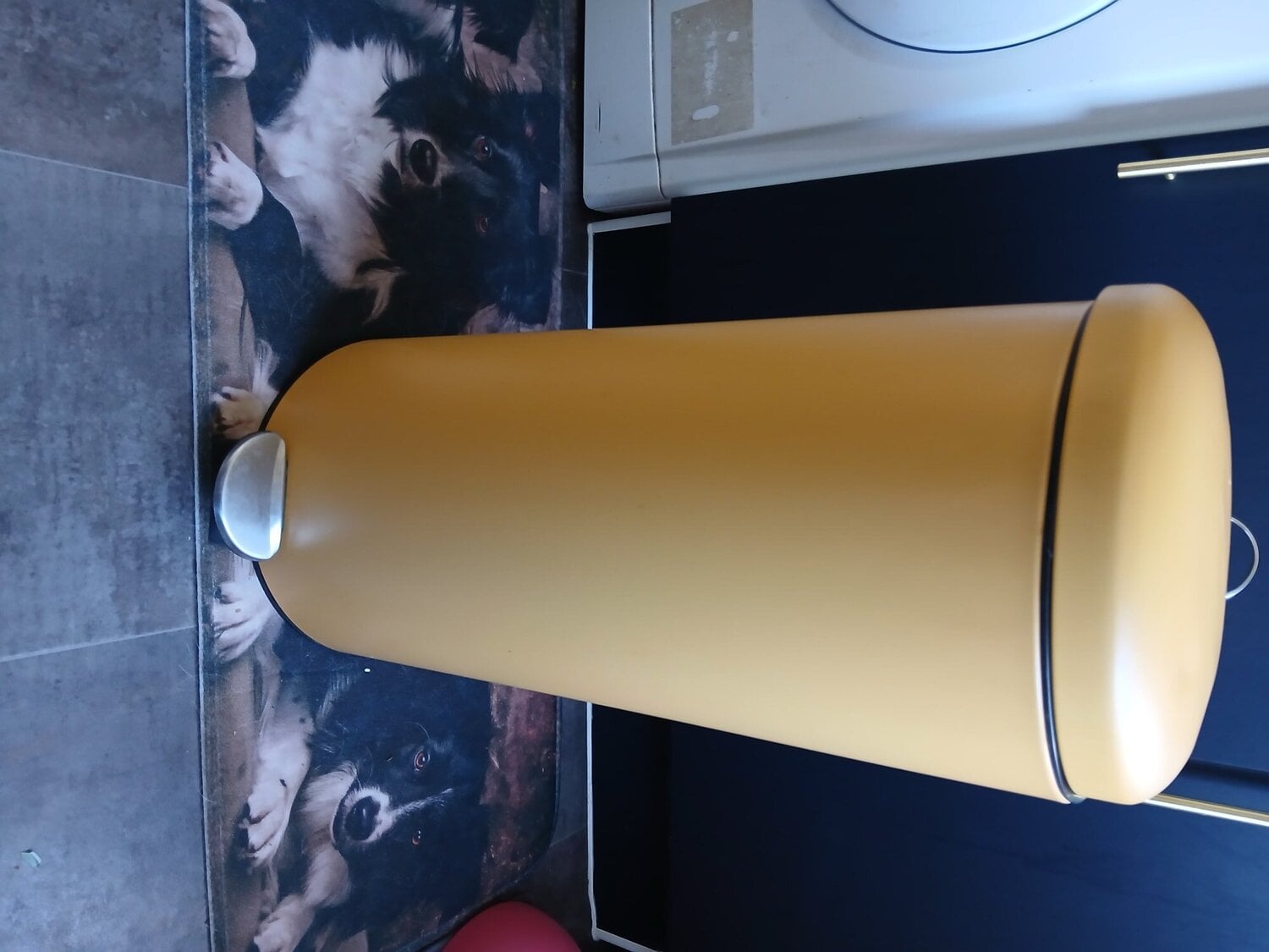 Tunbridge Wells 25litre swing bin and bread bin Tunbridge Wells 