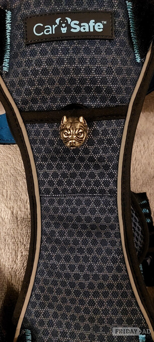 New personalized, unique harness (size L)