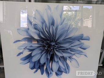 Glass splashback for sale 