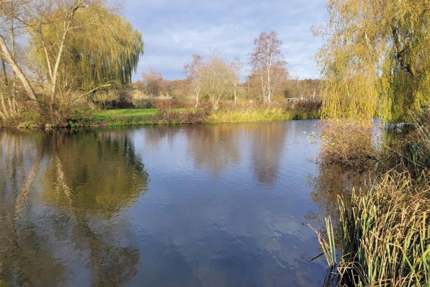 Wisbech Residential lodge for sale at Narborough Fisheries in Norfolk