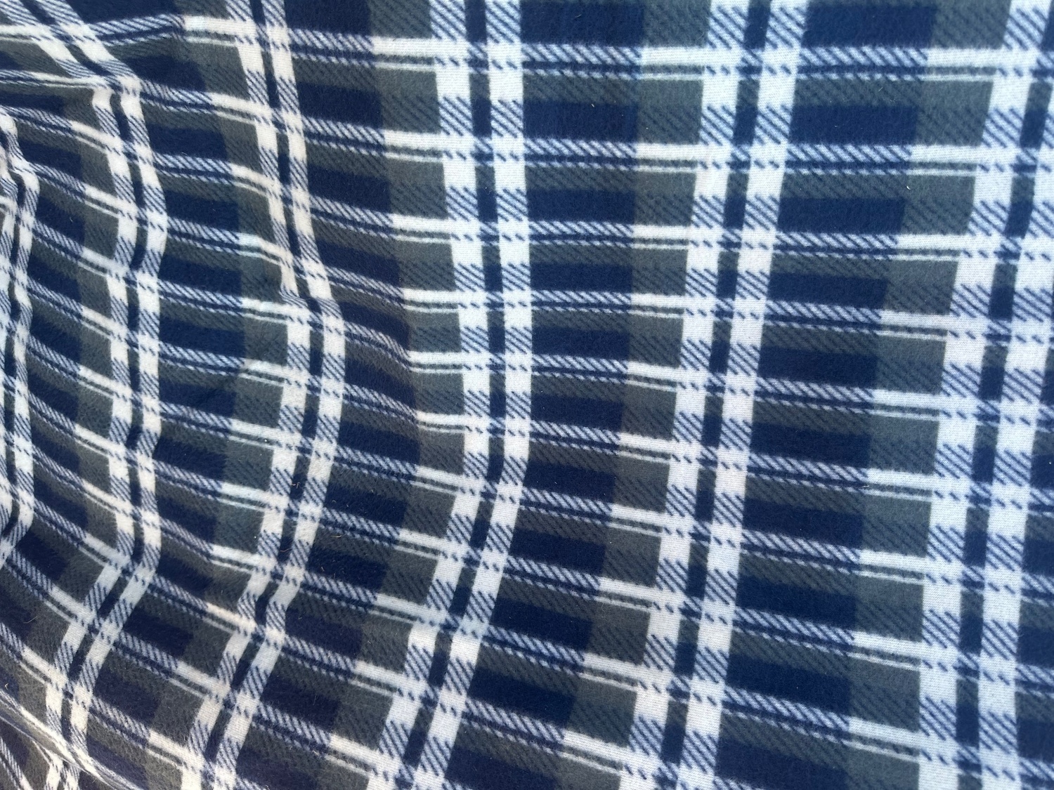 2 X picnic rug 