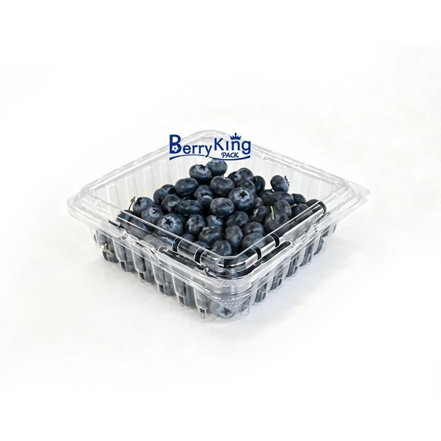 BerryKing – Wholesale Fresh Fruit Packaging Solutions