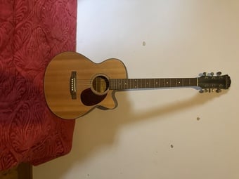 Freshman FA1AN electro-acoustic guitar 