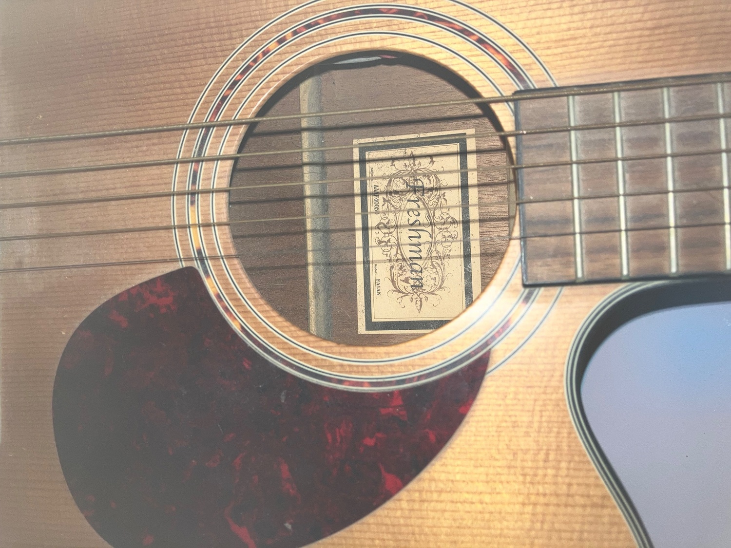 Freshman FA1AN electro-acoustic guitar 
