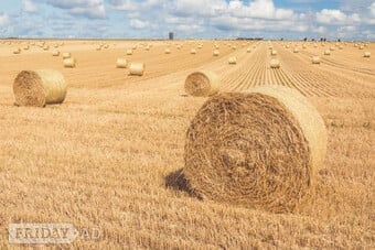 hay and straw