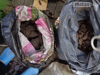 Free garden  soil