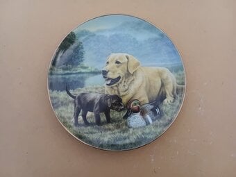 Labrador Collectors Plate, Franklin Mint, "First Encounter"