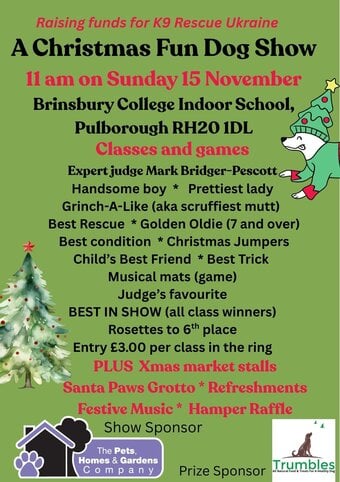 Christmas Fun Dog Show indoors!
