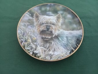 "Yorkie", Yorkshire Terrier, Danbury Mint by Paul Doyle. 