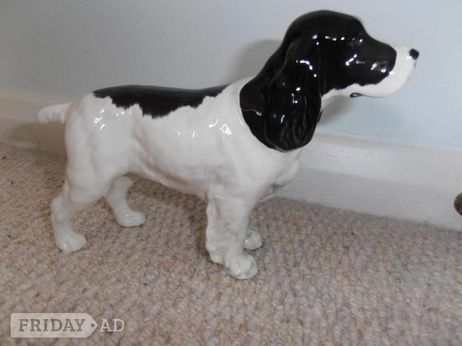 Beswick Cocker Spaniel in Ipswich