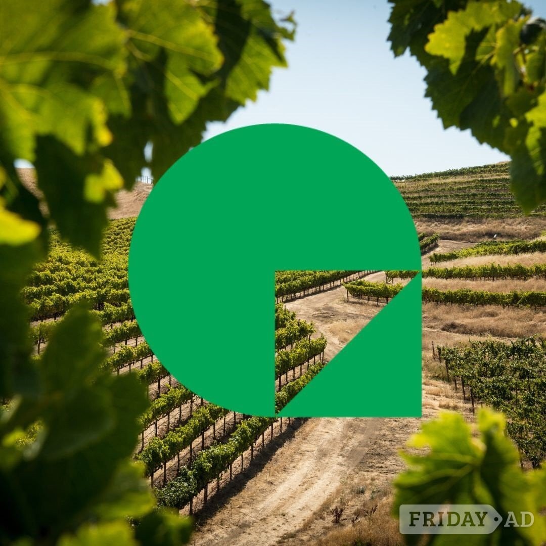 Grape Pickers Required - Boxley, Kent in Maidstone