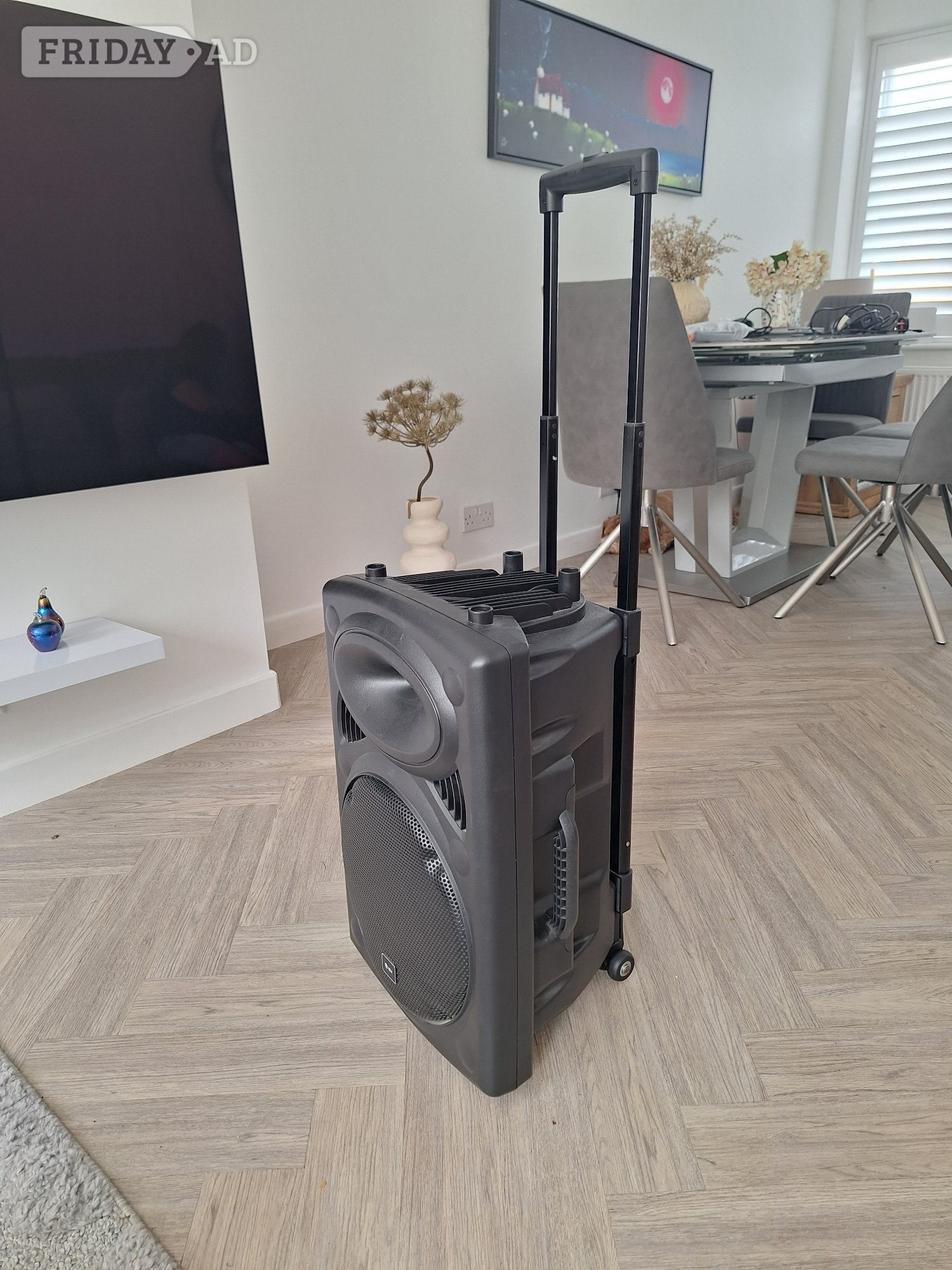 12" PA Speaker  - Musical Instruments