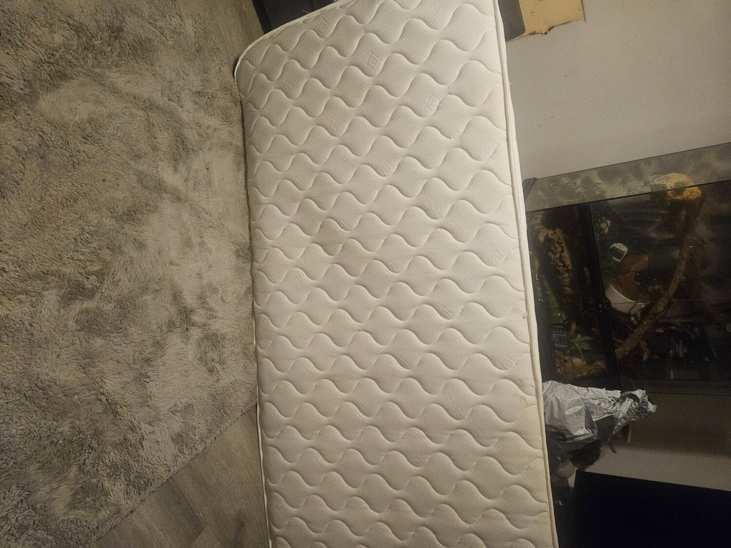 2 x single bed with mattress
