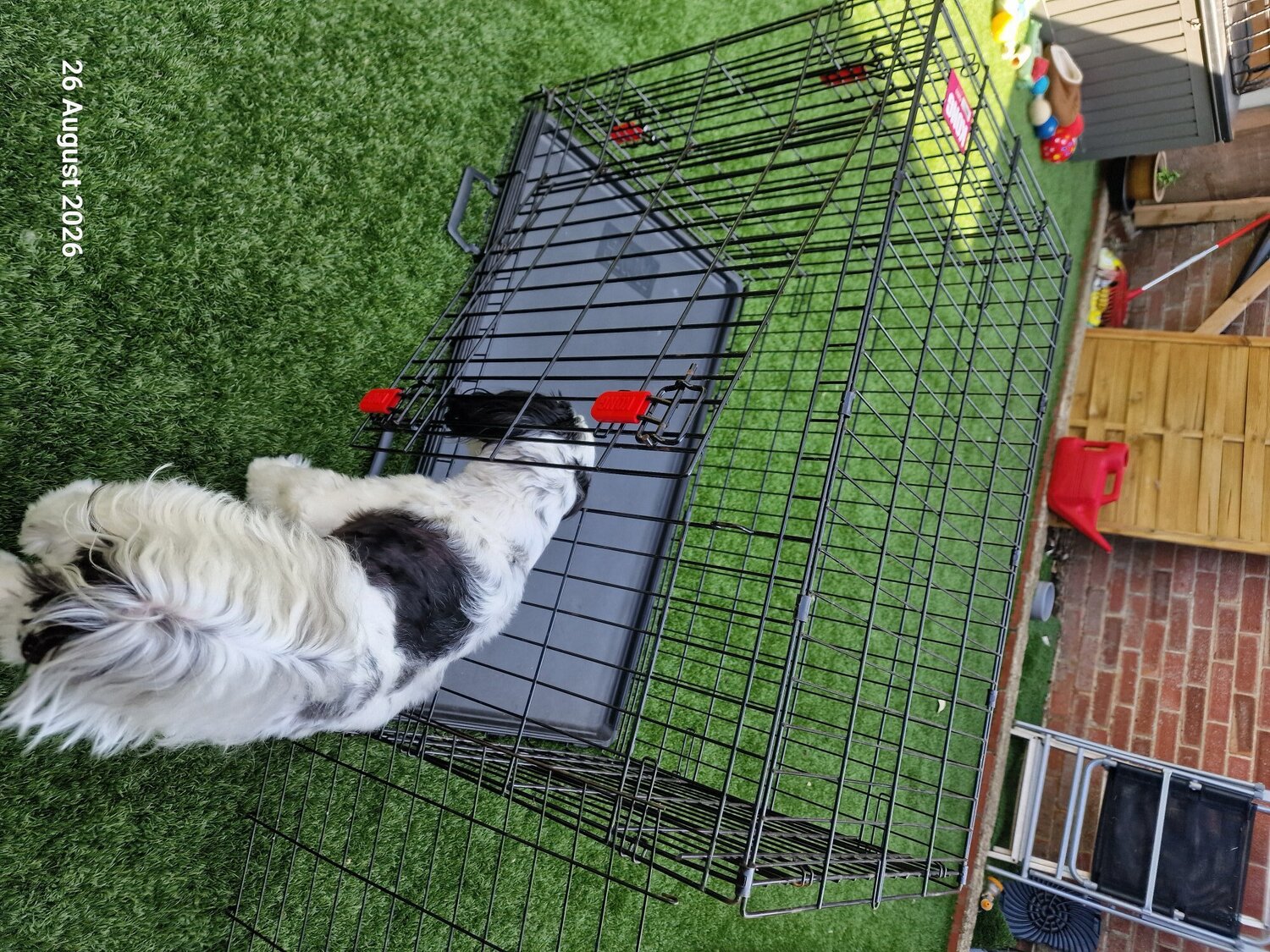 Worthing X-LARGE DOG CRATE