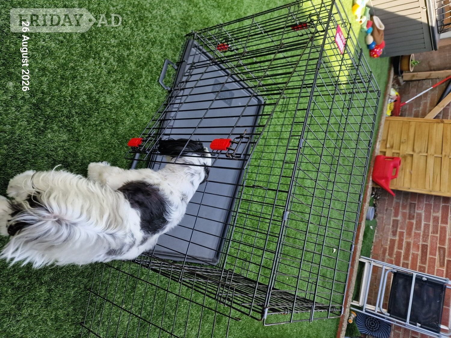 Worthing X-LARGE DOG CRATE