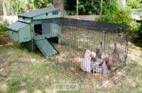 Leatherhead Green Frog/Nestera 100% recycled plastic chicken coops