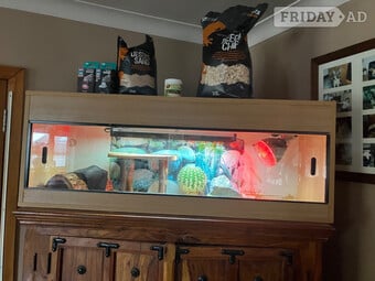 Reptile enclosure with basking, bedding accessories 