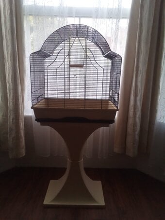 Free Bird cage suitable for budgie