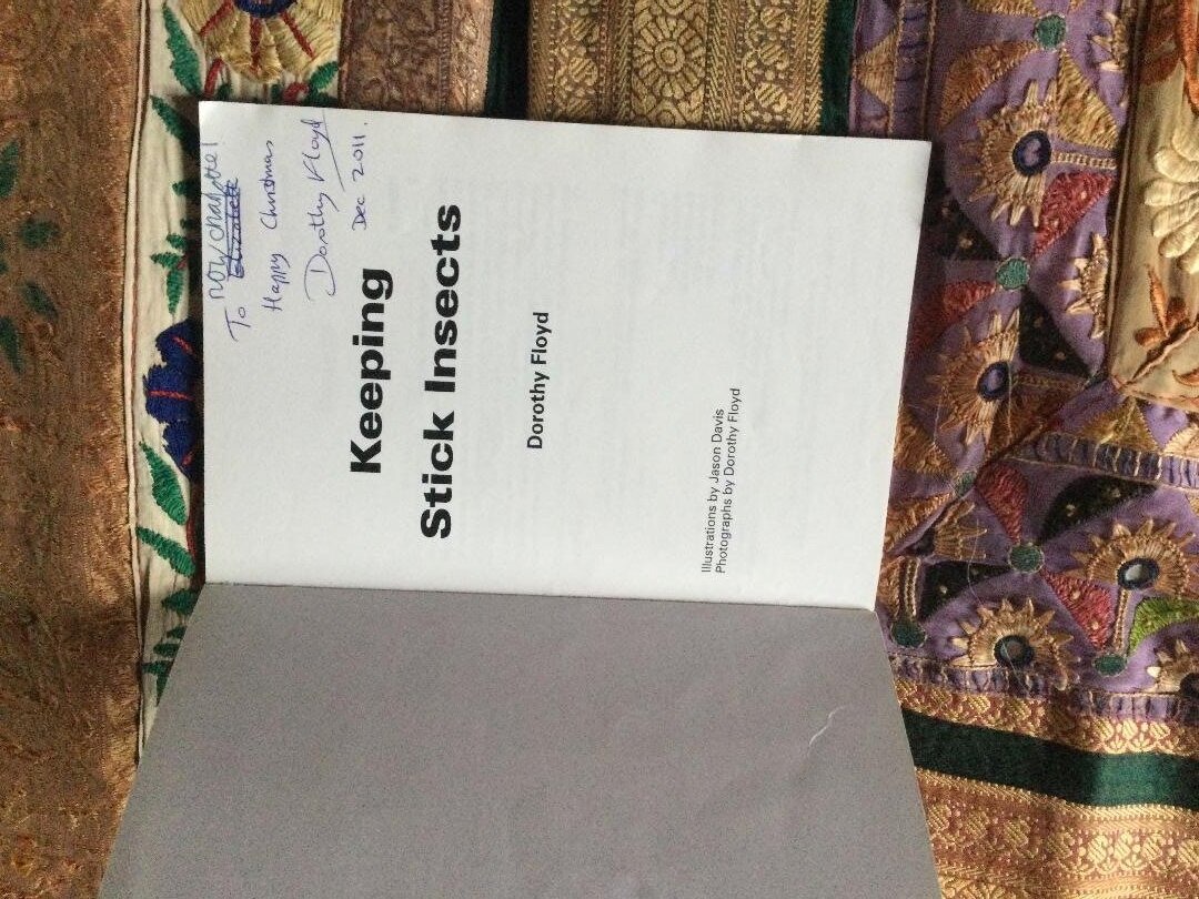 Keeping Stick Insects Paperback Dorothy Floyd. £2 - Movies, Games, Books & Music