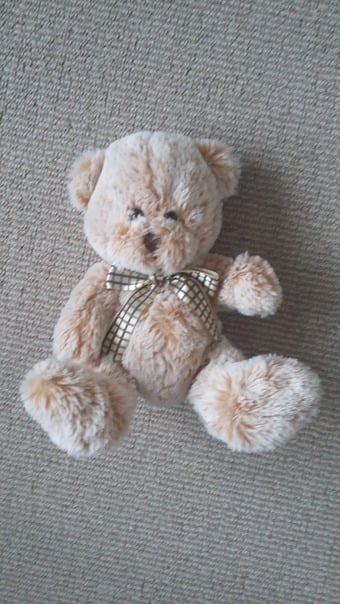 Super soft teddy length approx. 10 inches excellent condition.