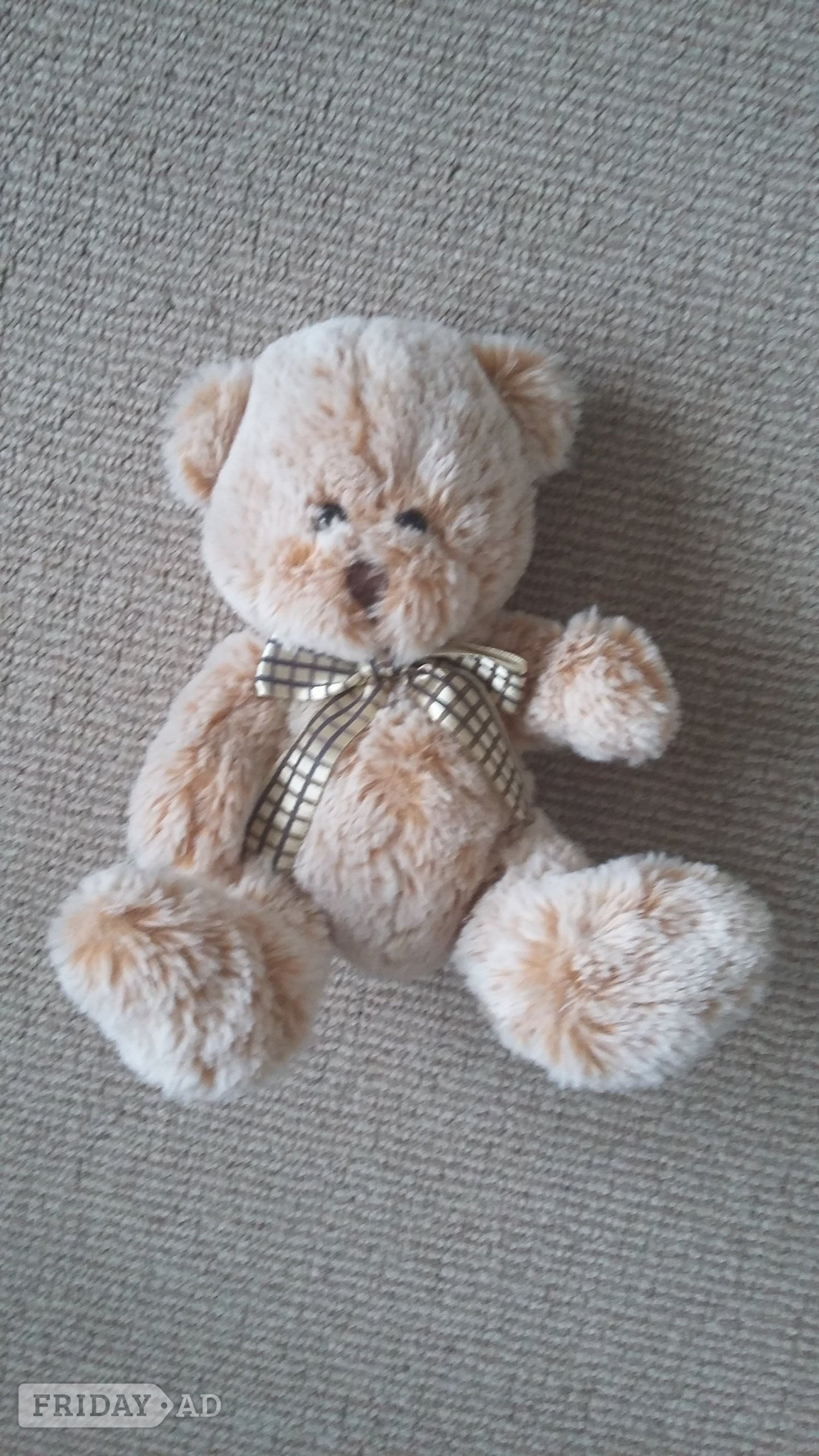 Super soft teddy length approx. 10 inches excellent condition. in Shoreham-By-Sea