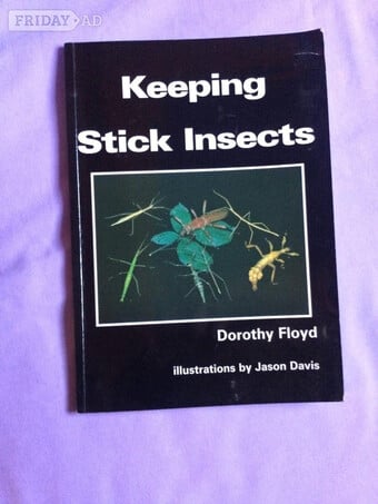 Keeping Stick Insects Paperback Dorothy Floyd. £2