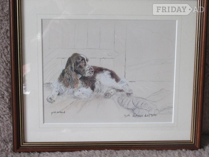 Gill Evans - English Springer Spaniel Framed Prints - Antiques & Collectables