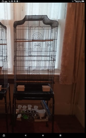 Free Bird cage, suitable for budgies