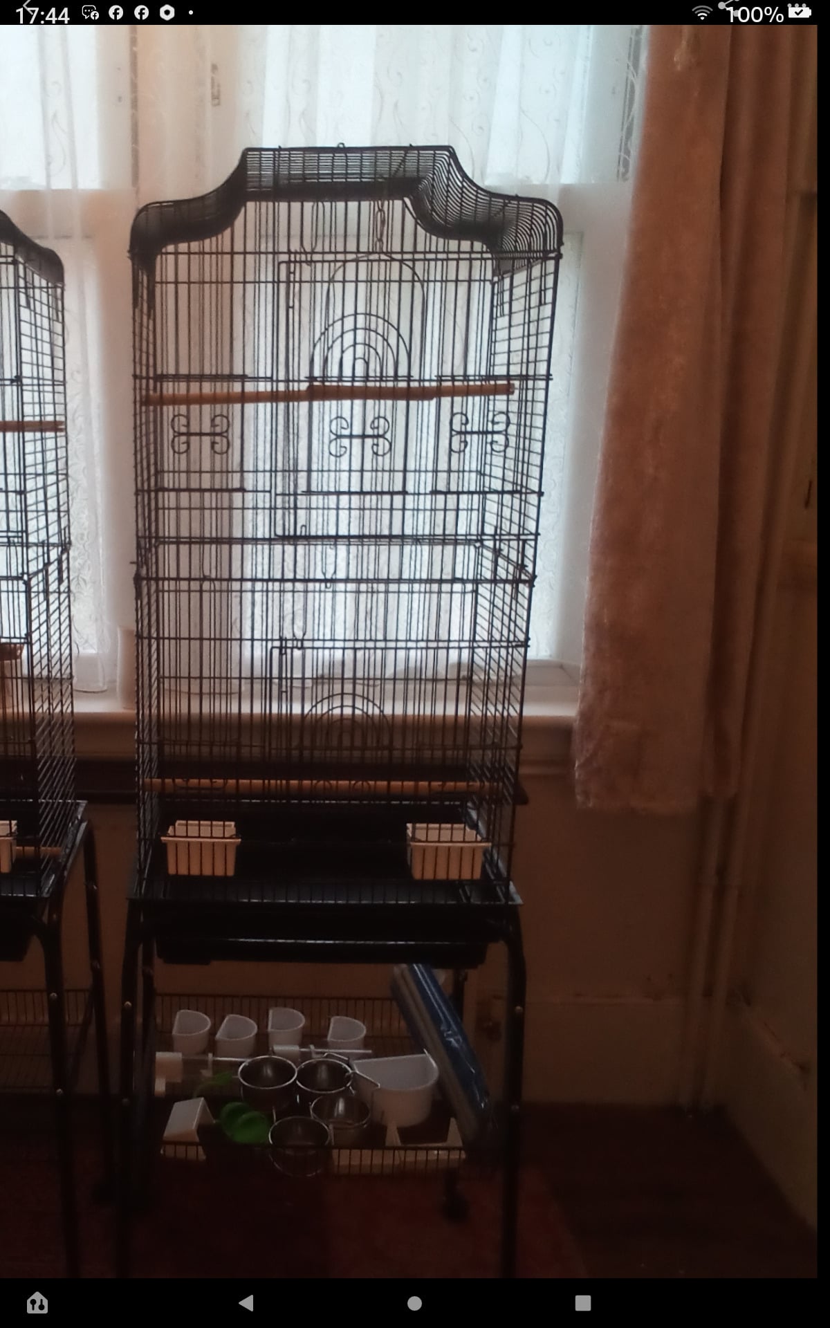 Free Bird cage, suitable for budgies in Bexhill-On-Sea