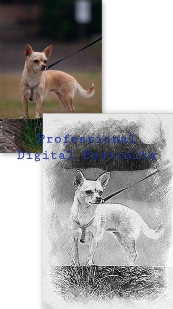 Your pet. Your memories. Your personalised portrait.