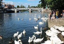 Freehold Luxury UK Residential Mooring Near London | Rent To Buy | RTB | Rent To Own | RTO | Close To Crossrail Train Stations | Camping | Glamping | House Boats | Water Sports | Log Cabins | Pods | Leisure.