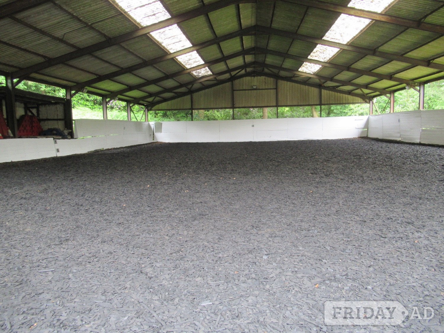 Whydown equestrian livery vacancy part or full only - Horse Care & Equipment in Bexhill-On-Sea