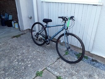 Falcon Adult Cycle